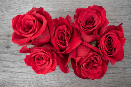 Red roses in a rustic background. Roses on a gray wooden backgroundの写真素材