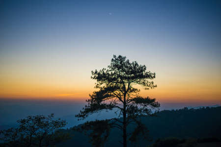 Beautiful sunset nature background Mountains and skyの写真素材