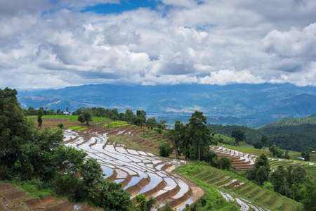 terraces field Mae Jam, Chiang Mai, Thailandの写真素材