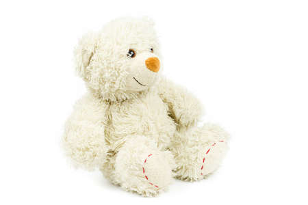 Cute little bear