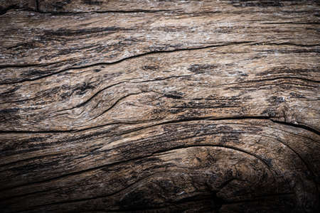 vintage old wood texture for backgroundの写真素材