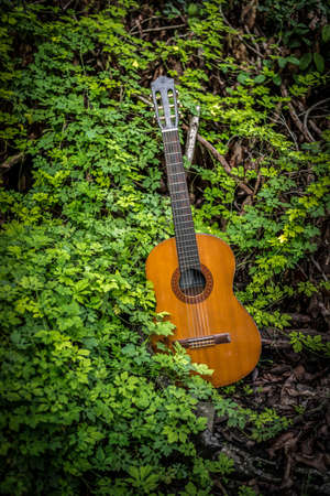 classic guitar on wood background with green leaf on vintage tone and vignette style