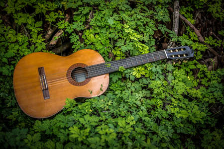 classic guitar on wood background with green leaf on vintage tone and vignette style