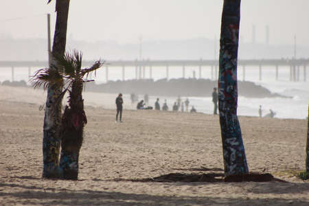 Surf Cityの写真素材