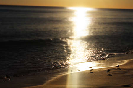 Birds eye viewの写真素材