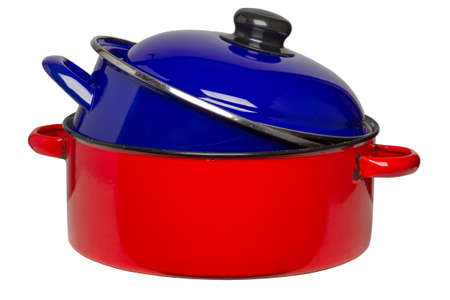 a blue in an red potの写真素材