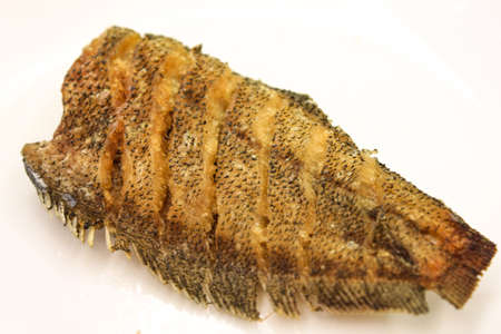 Fried salty gourami isolated on white backgroundの写真素材