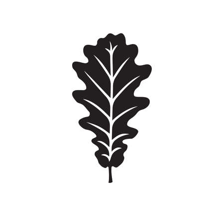 Vector illustration of the oak leafのイラスト素材