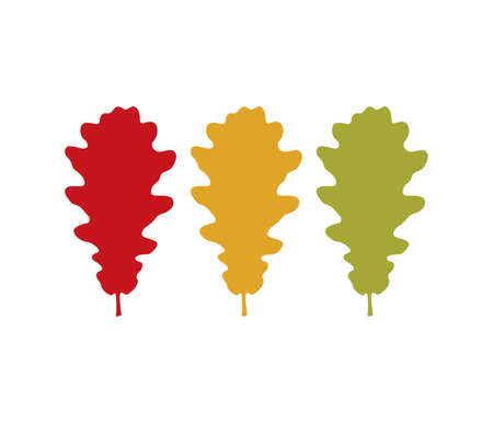 Vector illustration of the oak leaves setのイラスト素材