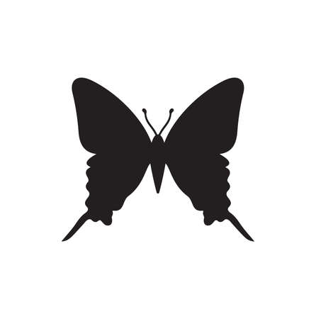 Vector illustration of the butterfly silhouetteのイラスト素材