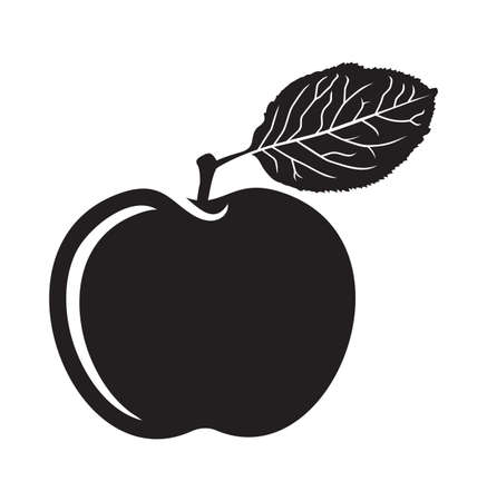 Vector illustration of the appleのイラスト素材