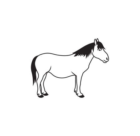 Vector illustration of the muleのイラスト素材