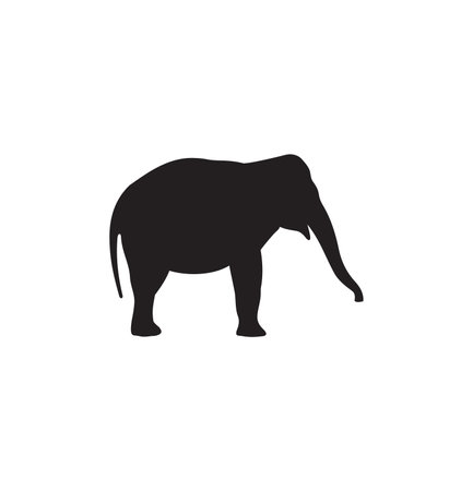 Vector illustration of the elephantのイラスト素材