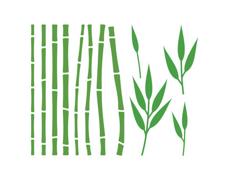 Vector illustration of the bambooのイラスト素材