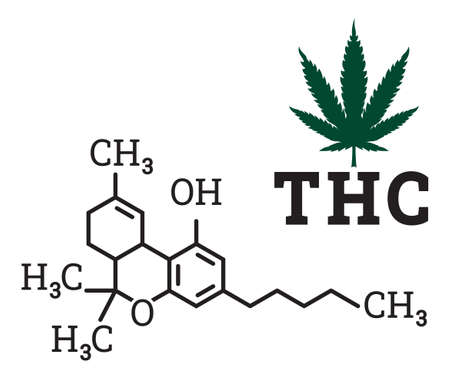 Vector illustration of the THC tetrahydrocannabinol chemical formulaのイラスト素材