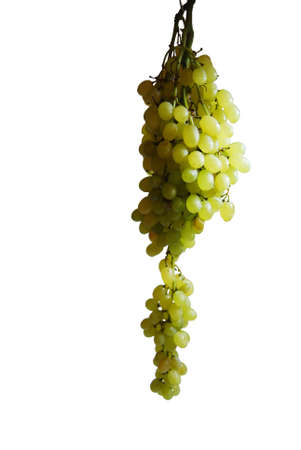 Grapes isolated on white backgroundの写真素材