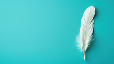 Single white feather is positioned on teal background, emphasizing simplicity and lightnessの素材
