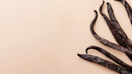 Vanilla beans on pale surfaceの素材