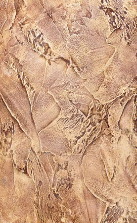 Decorative stucco texture (background art deco texture)の写真素材