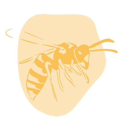 Wasp illustration yellow on abstract shape isolated on white backgroundのイラスト素材