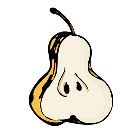 Hand drawn pear illustration isolated on white background.のイラスト素材