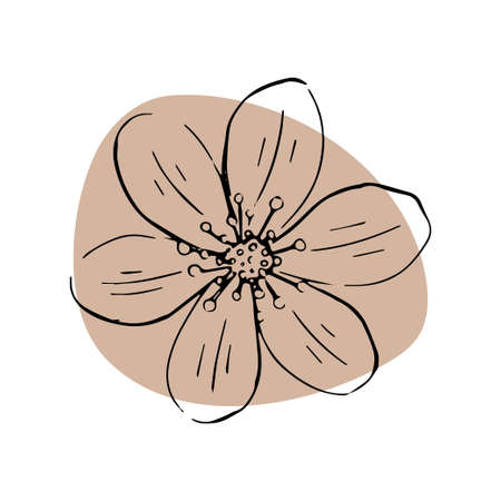 Daisy hand drawn illustration. Colorful abstract shape isolated. Line art.のイラスト素材