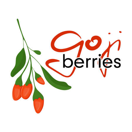 Goji berries lettering. Plant colorful illustration. isolated vector.のイラスト素材