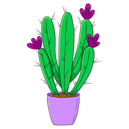 Colorful cactus flat icon. Isolated flat illustration on white background.のイラスト素材
