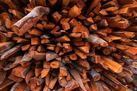 The pile of firewood prepared for winter, Pile firewood texture background. closeup of photoの写真素材