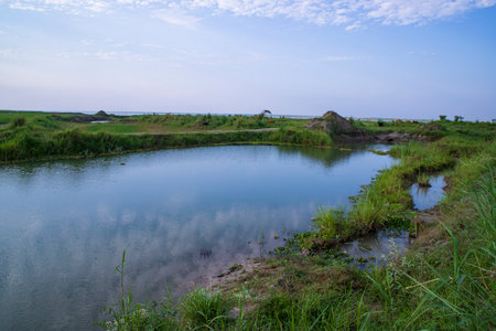 Lake water with green grass landscape view of under the blue sky