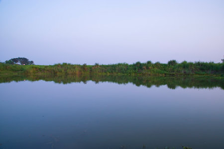 Lake water with green grass landscape view of under the blue sky