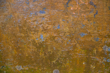 Fungi Green Moss Texture abstract background concrete wall. Rusty, Grungy, Gritty Vintage Background