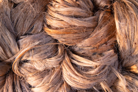 Thick Golden bundle of raw jute fiber Pattern Texture Can be used as a Background wallpaper. This is the Called Golden Fiber in Bangladeshの写真素材