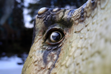 the eye of a great dinosaurの写真素材