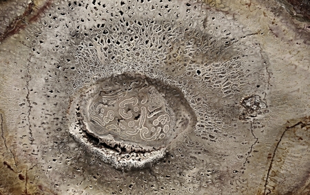 background, natural mineralsの写真素材