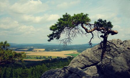 Bohemian Paradise, A unique combination of outlandish rock formations, dense pine forestsの写真素材