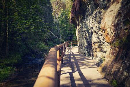 wooden bridge in the forest, Czech Switzerlandの写真素材
