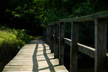 wooden bridge in the forest, Bornholm