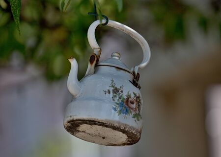 old kettle hanging on a tree in Croatia