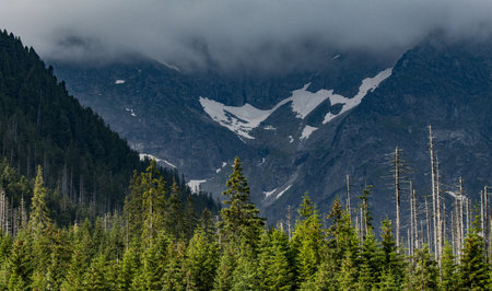 Mountains and forest in Tatra National Park, Polandの写真素材