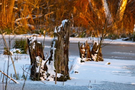 Winter landscape with frozen lake and snow covered trees in the background. Polandの写真素材