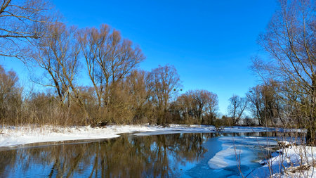 Winter landscape with frozen river and bare trees on a sunny day. Narew river in Polandの写真素材
