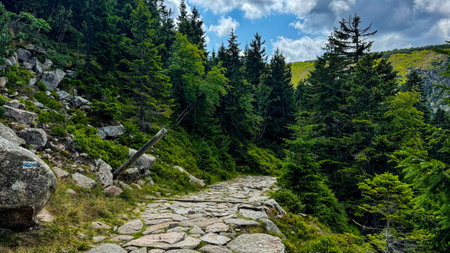 Hiking trail in the Polish Mountains Karkonosze.の写真素材