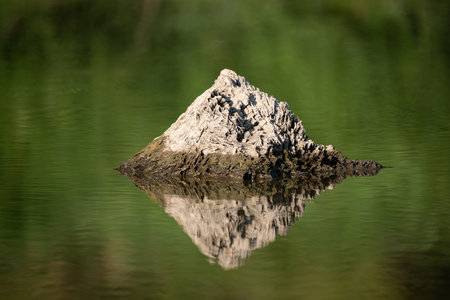 rock in the water with reflection.の写真素材