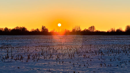 Sunset over a frozen field with corn stubble and trees in winter.の写真素材