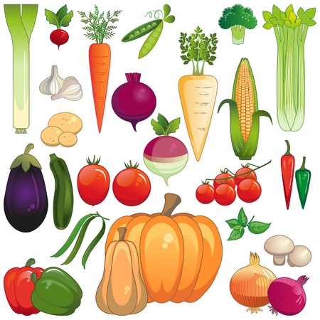 Large icon set of vegetables isolated on white background のイラスト素材