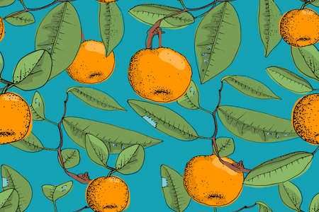 Art floral vector seamless pattern. Ripe orange mandarins ( tangerines) on the brown twigs with...