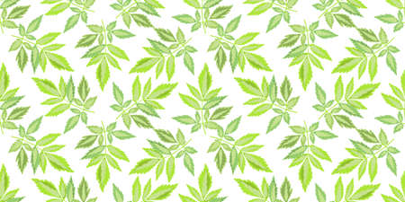 Vector floral seamless pattern. Green leaves isolated on a white background. Tile pattern for wallpaper design, fabric, textile, card, banner, digital paper.のイラスト素材