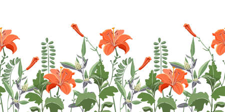 Vector seamless floral border, pattern. Orange color lilies, daylilies, green wormwood, quinoa, coronÃ­lla. Vector flowers, buds, leaves and herbs isolated on a white background.のイラスト素材