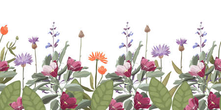 Vector floral seamless pattern, decorative border with corneflower Centaurea, calendula, sage. Purple, violet, orange color flowers, green leaves isolated on a white background.のイラスト素材